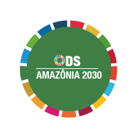 logo_amazonia_2030_Prancheta_Alteração